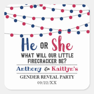 Sticker Carré String Lights 4 juillet Gender Revevela Party