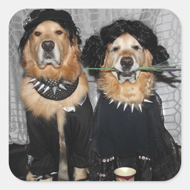 Sticker Carré Style Goth Retriever Golden (Devant)
