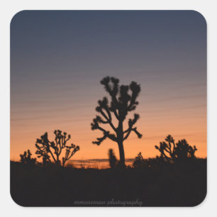Sticker Carré Sunset Joshua Trees