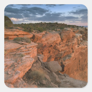 Sticker Carré Surplomb du canyon dans l'Island in the sky