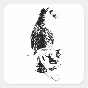 Sticker Carré Tabby de cuisine en mouvement