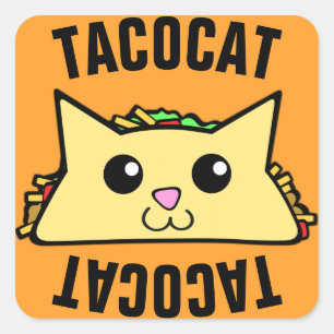 Sticker Carré Taco Cat