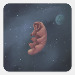 Sticker Carré Tardigrade espace