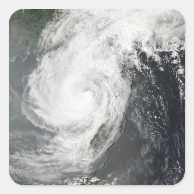 Sticker Carré Tempête tropicale Parm (Devant)