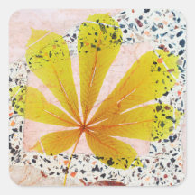Terrazzo et Botanique