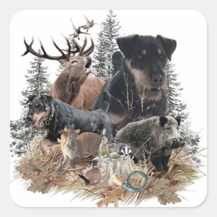 Sticker Carré Terrier de chasse allemand (Jagdterrier)