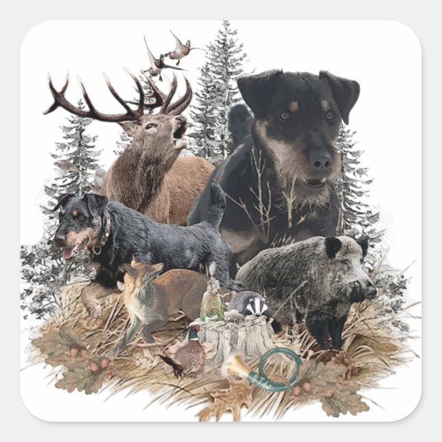 Sticker Carré Terrier de chasse allemand (Jagdterrier) (Devant)