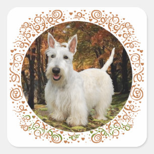 Sticker Carré Terrier Écossais Blé Automne