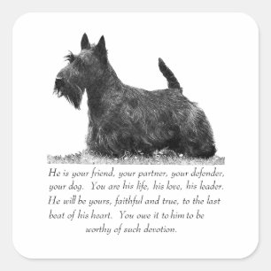 Sticker Carré Térrier Écossais Souvenir - Chien MÂLE