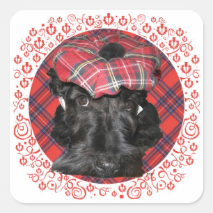 Sticker Carré Terrier Écossais sur Tartan
