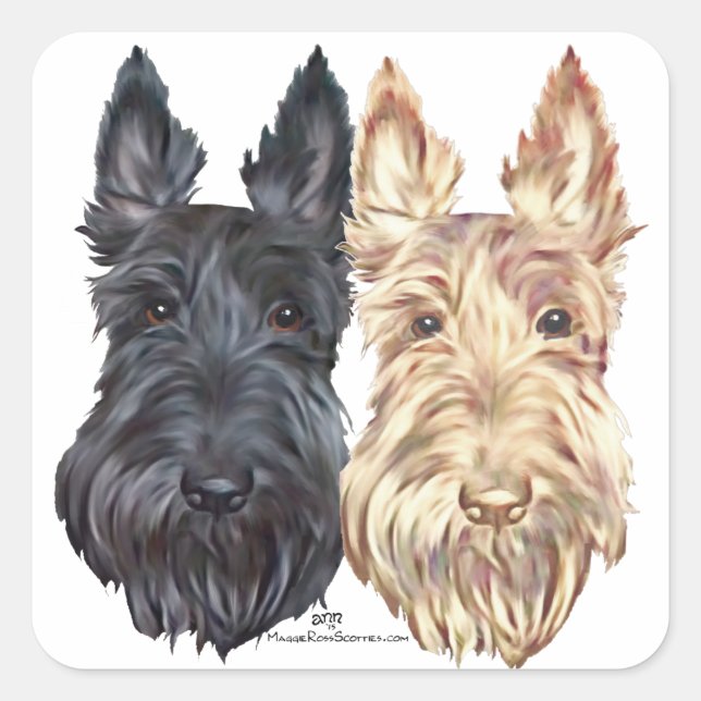 Sticker Carré Terriers écossais noirs et roux (Devant)