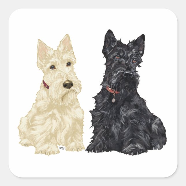 Sticker Carré Terriers écossais roux et noirs (Devant)