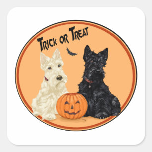 Sticker Carré Tervueren & Noir Teckels Écossais Halloween