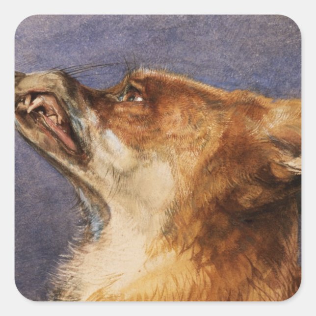 Sticker Carré Tête d'un Fox (Devant)