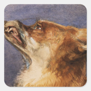 Sticker Carré Tête d'un Fox