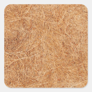 Sticker Carré Texture de noix de coco