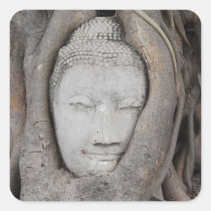 Sticker Carré Thaïlande Chef de Bouddha entouré d'arbres