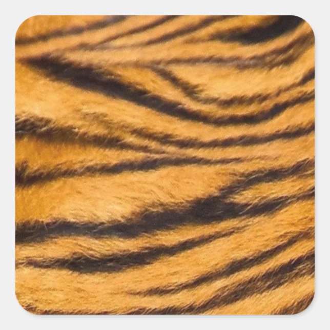 Sticker Carré Tiger Grilles Fourrure Noir et Orange Personnalise (Devant)