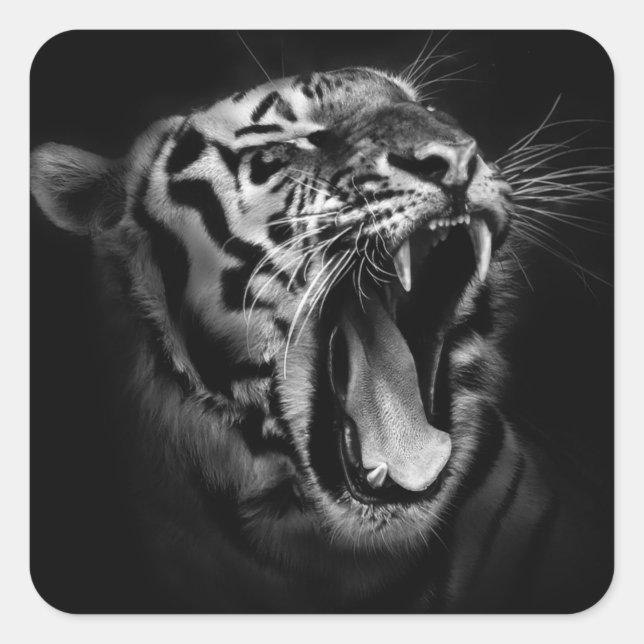 Sticker Carré Tigre noir et blanc (Devant)