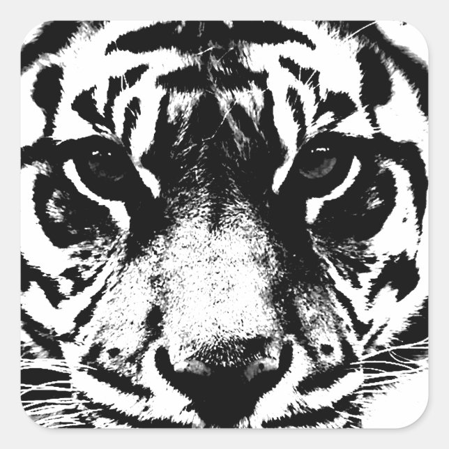 Sticker Carré Tigre noir et blanc (Devant)