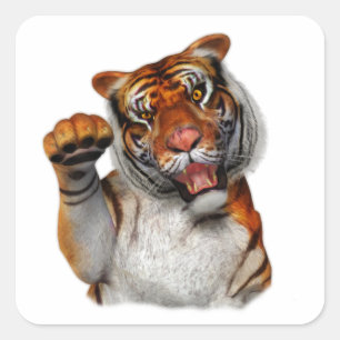 Sticker Carré Tigre, Tigre