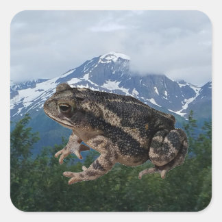 Sticker Carré Toad