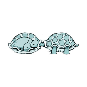 Sticker Carré Tortue