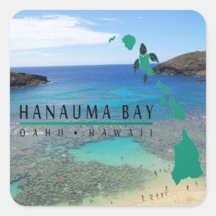 Sticker Carré Tortue d'Oahu de baie d'Hawaï Hanauma