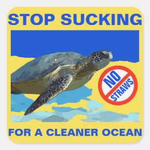 STICKER CARRÉ TORTUE MARINE