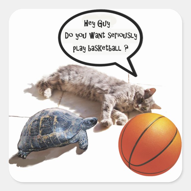 STICKER CARRÉ TORTURE DE CHAT ET BASKETBALL (Devant)