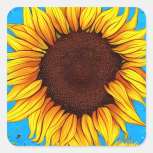 Sticker Carré Tournesol de campagne