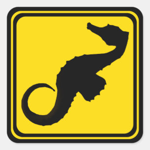 Sticker Carré Traversée des hippocampes !