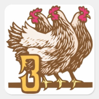 Sticker Carré Trois poules françaises