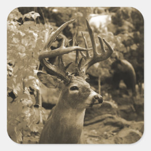 Sticker Carré Trophée Deer