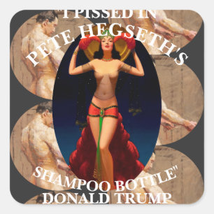 Sticker Carré Trump