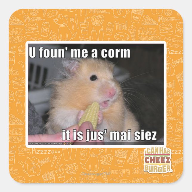 Sticker Carré Tu m'as trouvé du maïs (Devant)