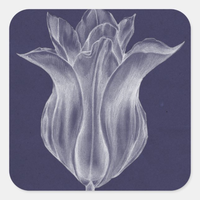 Sticker Carré Tulipe monochrome III (Devant)