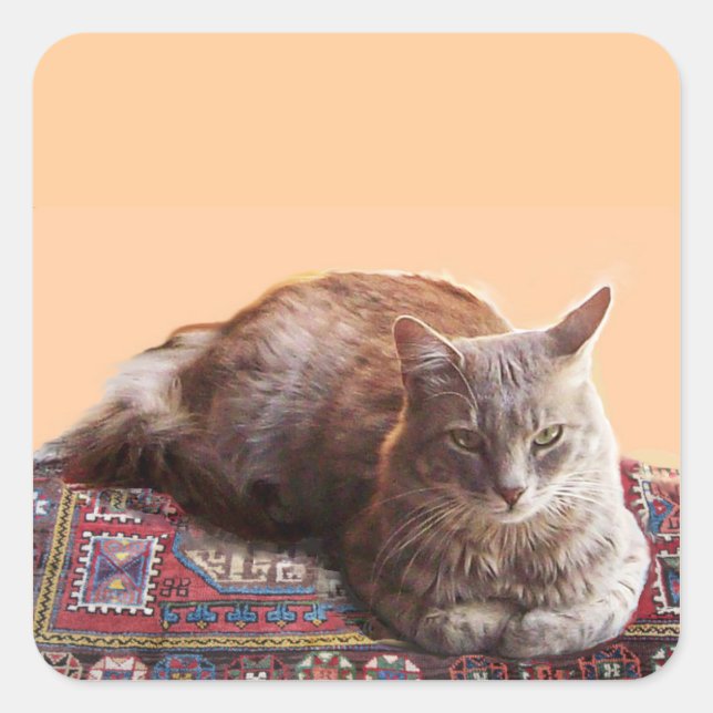 STICKER CARRÉ TURKISH CAT ON THE OLD CARPET (Devant)