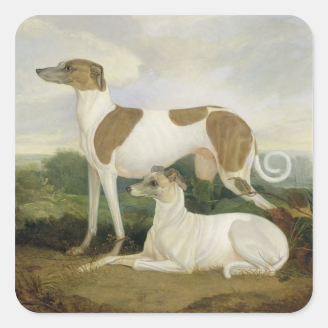 Sticker Carré Two Greyhounds in a Landscape (Devant)