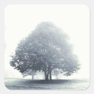 Sticker Carré Un arbre dans le brouillard