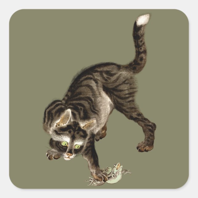Sticker Carré Un chat japonais attrape une grenouille (Devant)
