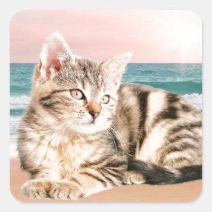 Sticker Carré Un chat rayé plus mignon assis sur la plage au cou
