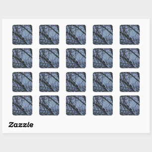 Sticker Carré Un compagnon pour l'hiver