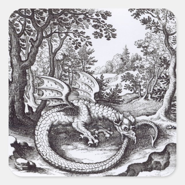 Sticker Carré Un dragon dans la forêt (Devant)