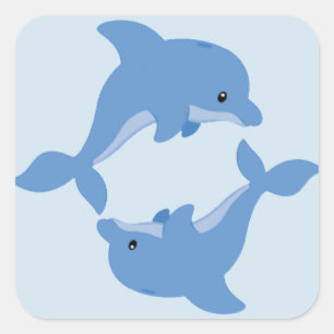 Sticker Carré Un joli dauphin