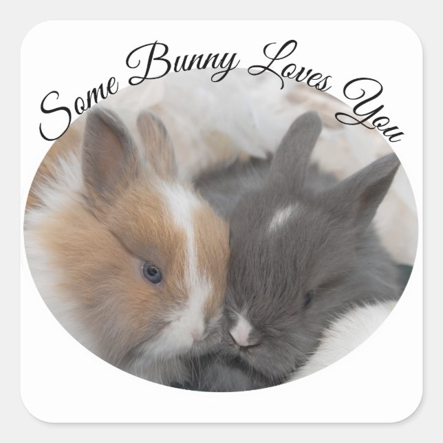 Sticker Carré Un Lapin T'Aime (Devant)