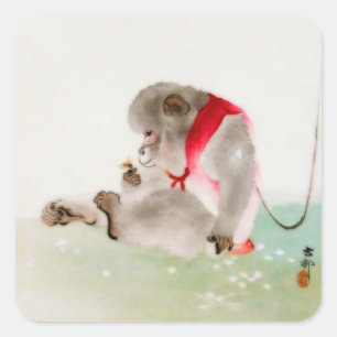 Sticker Carré Un Singe Assis Observant Un Insecte