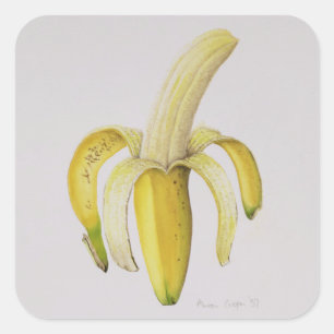 Sticker Carré Une banane à moitié pelée 1997