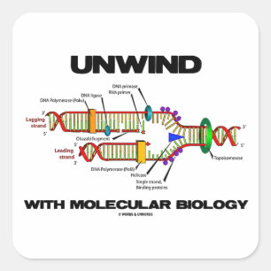 Sticker Carré Unwind With