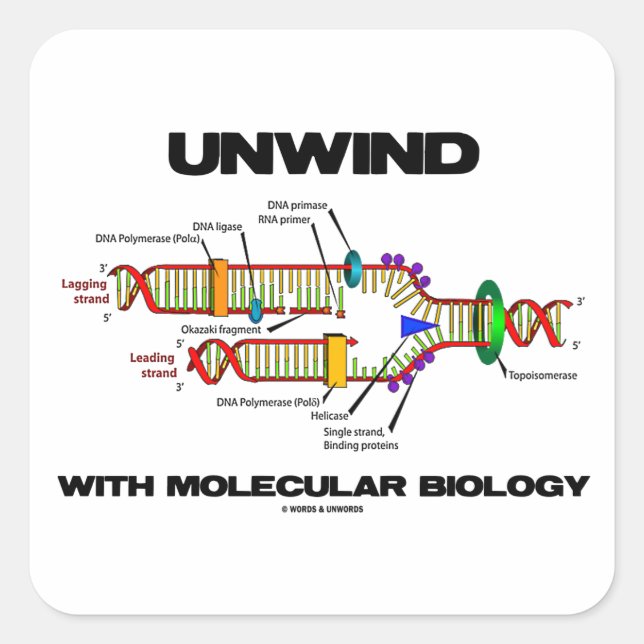 Sticker Carré Unwind With (Devant)